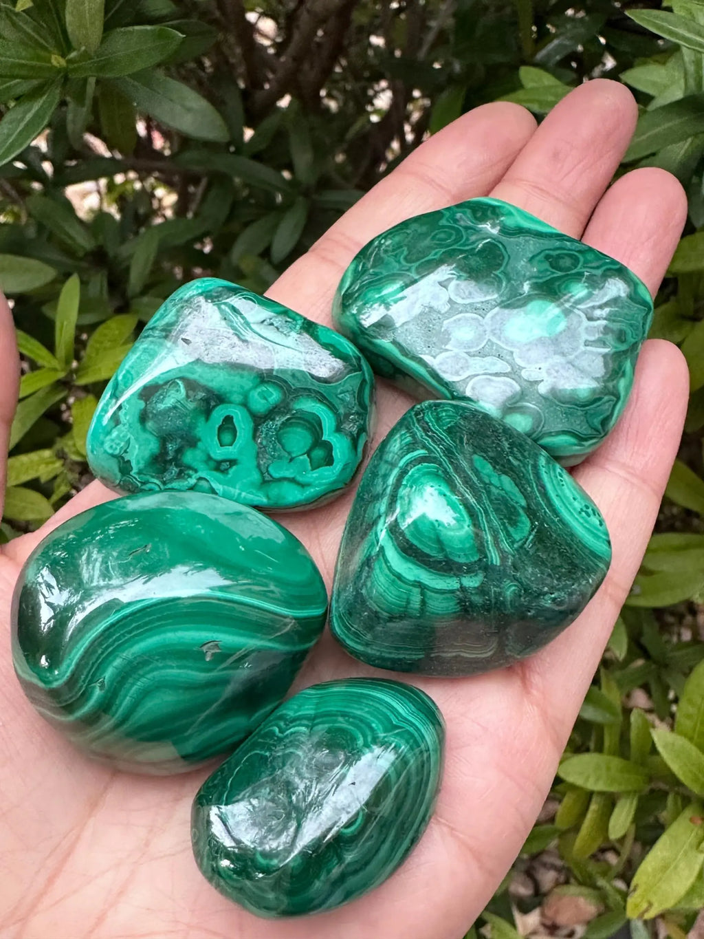 GAF TREASURES Wholesale Malachite Pebble Large Malachite Tumbled Stone Natural Polished Malachite Crystals Malachite Palm Stone Malachite Healing Crystals (Malachite 0.5 Pound)