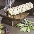 White Sage Smudge Sticks (3-Pack)